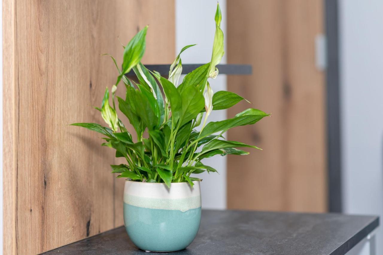 Arany Apartman Miskolc Ngoại thất bức ảnh
